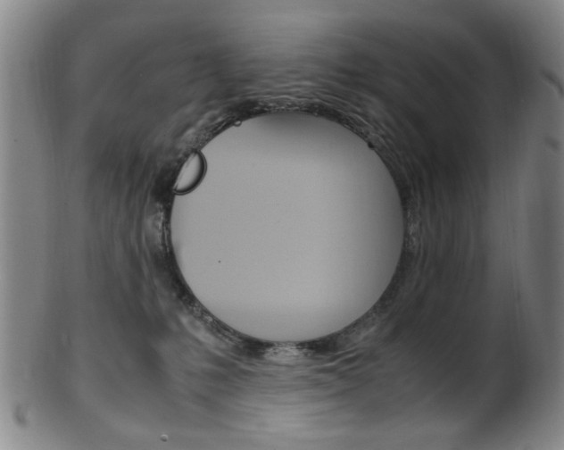 X0000101660231200807101033