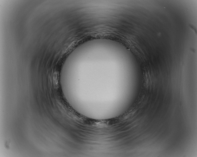 X0000101660232200807101032
