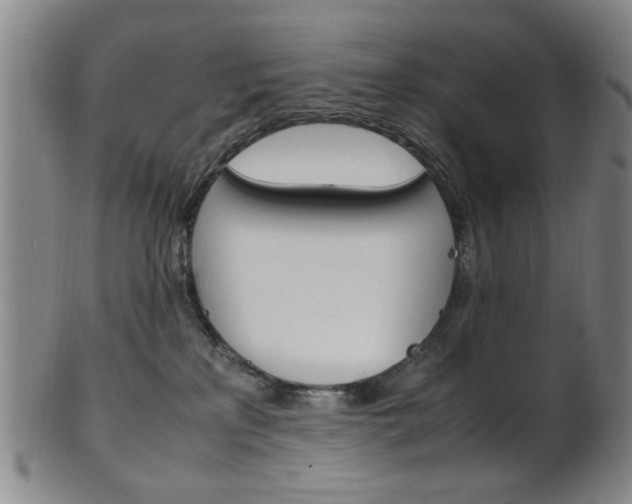 X0000101660233200807101032