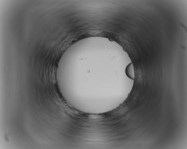 X0000101660234200807101032