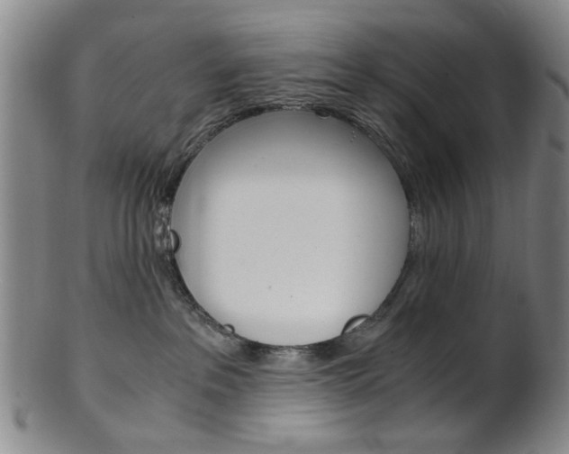 X0000101660237200807101032