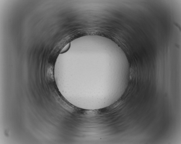 X0000101660238200807101032
