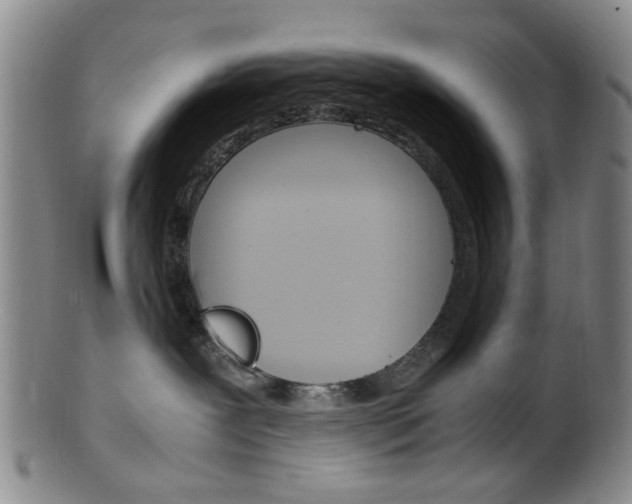 X0000101660239200807101032