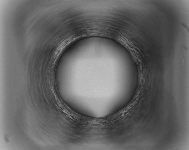 X0000101660241200807101032