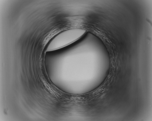 X0000101660242200807101032