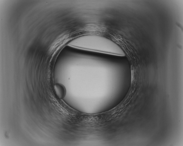 X0000101660243200807101032