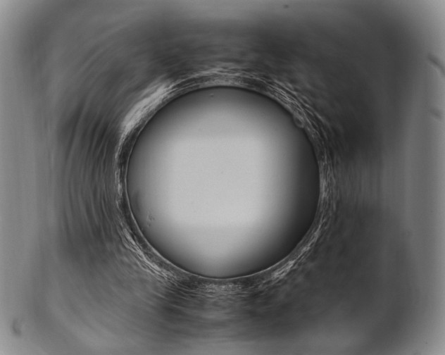 X0000101660245200807101032