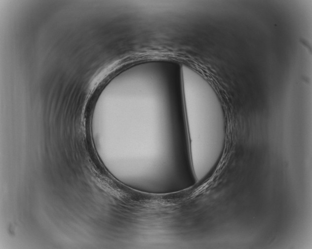 X0000101660246200807101032