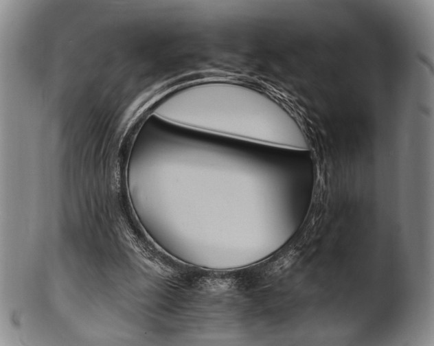X0000101660247200807101032