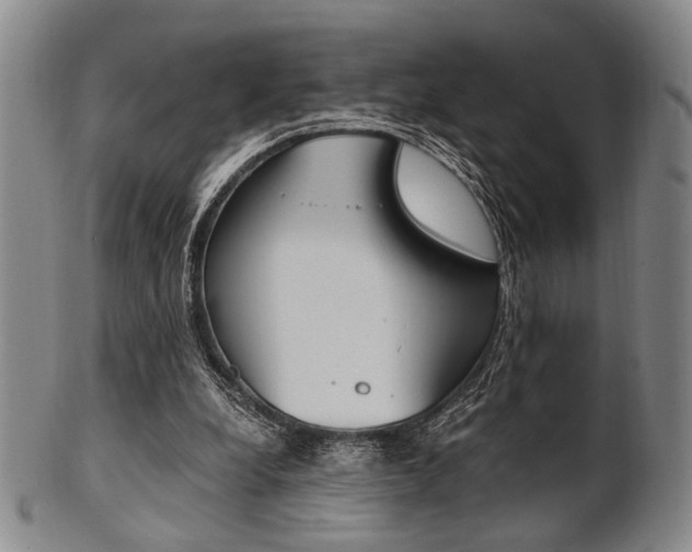 X0000101660248200807101032