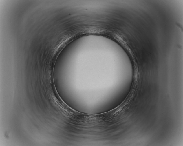 X0000101660249200807101032