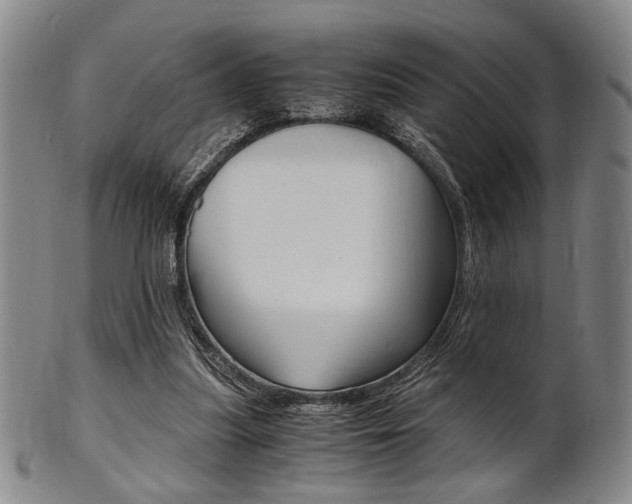 X0000101660251200807101032