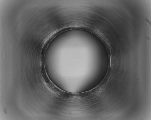 X0000101660252200807101032