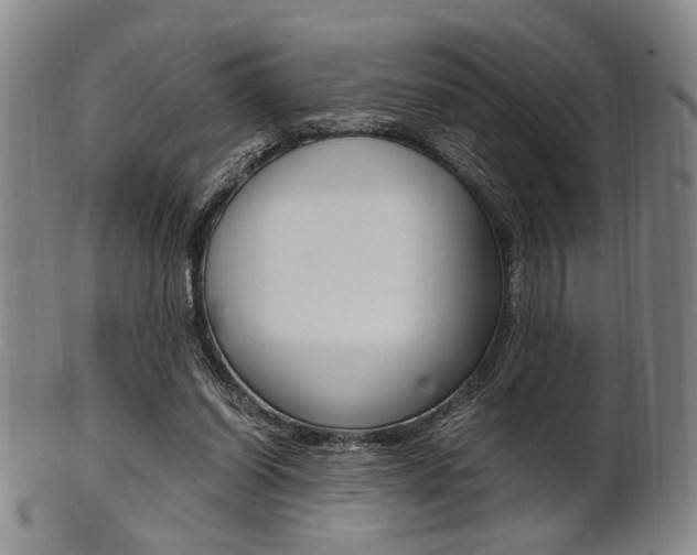 X0000101660254200807101032
