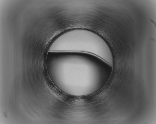 X0000101660256200807101032