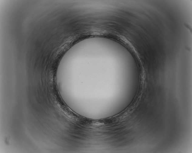 X0000101660257200807101032