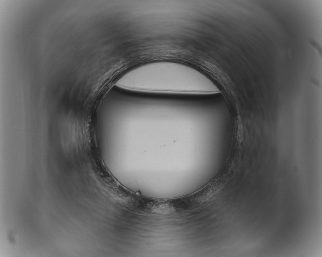 X0000101660258200807101032