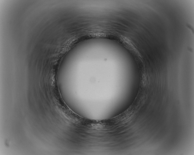 X0000101660259200807101032