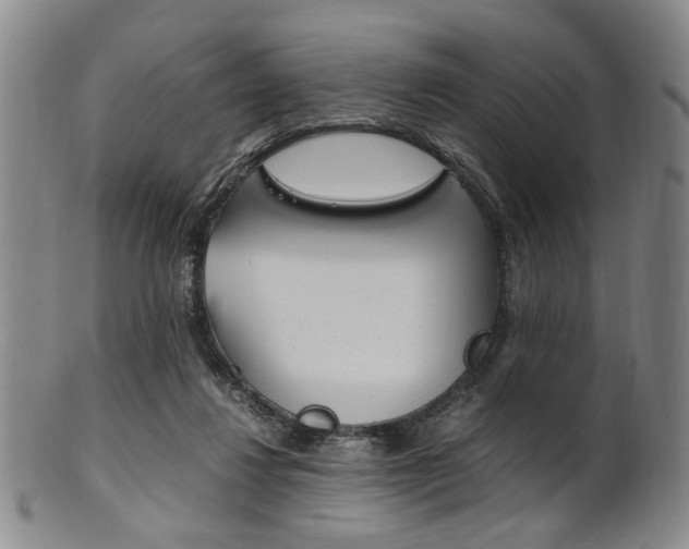 X0000101660260200807101032