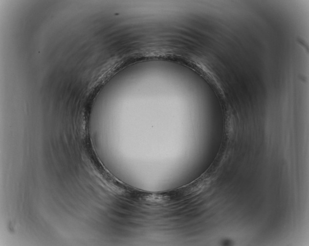X0000101660261200807101032