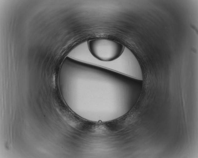 X0000101660262200807101032