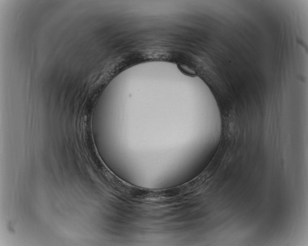 X0000101660263200807101032