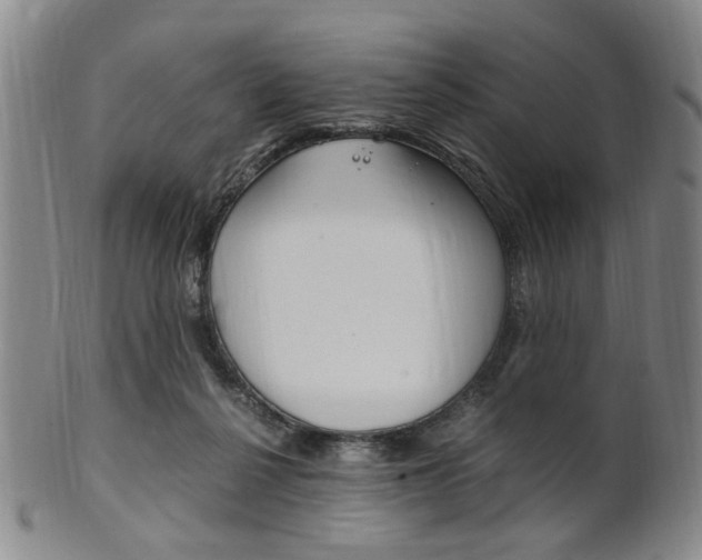 X0000101660264200807101032