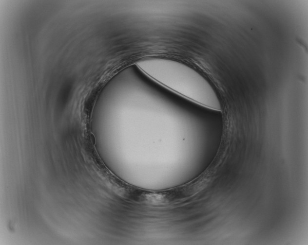 X0000101660265200807101032