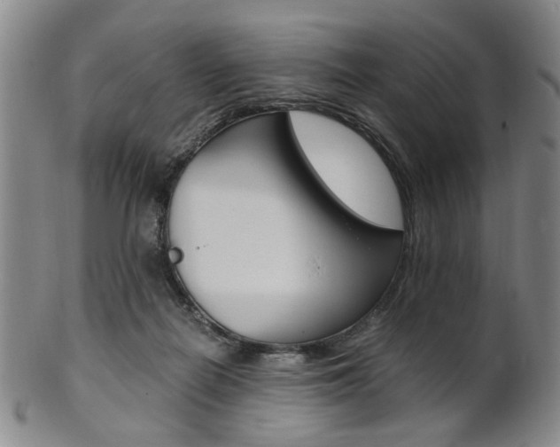 X0000101660266200807101032