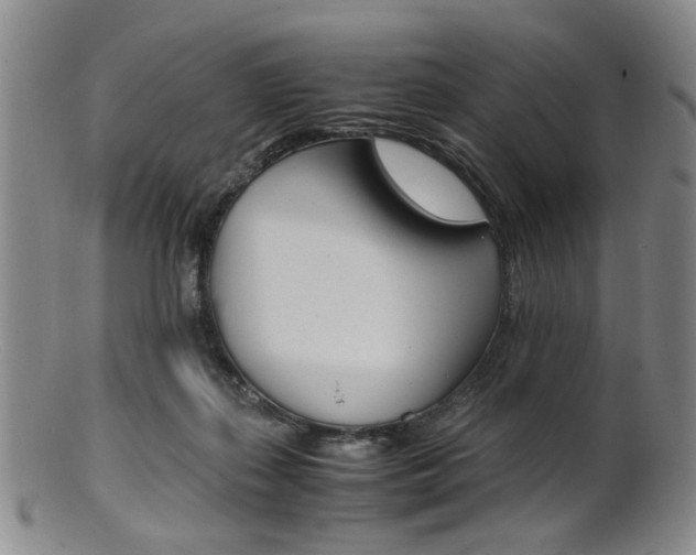 X0000101660267200807101032