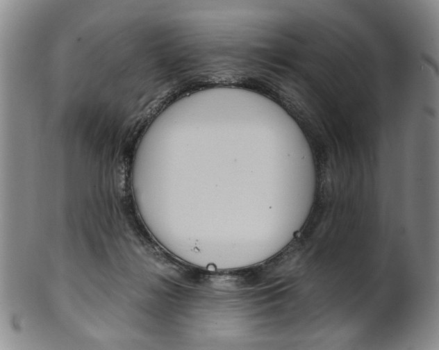 X0000101660268200807101032