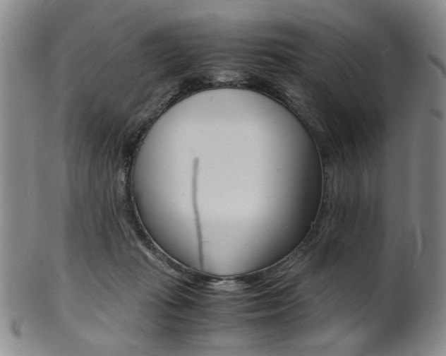 X0000101660269200807101032