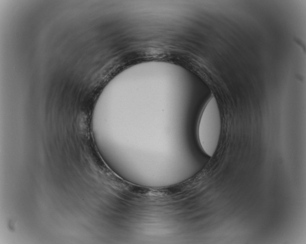 X0000101660270200807101032