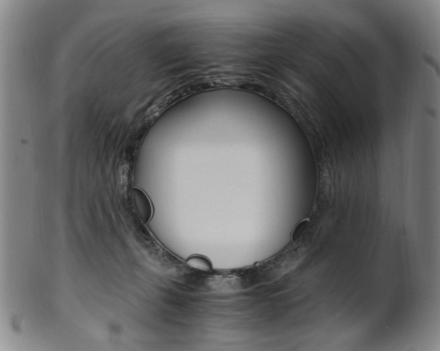 X0000101660271200807101032
