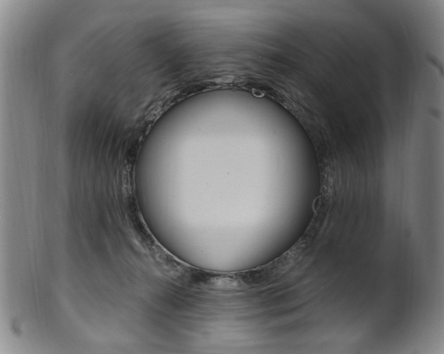 X0000101660272200807101032