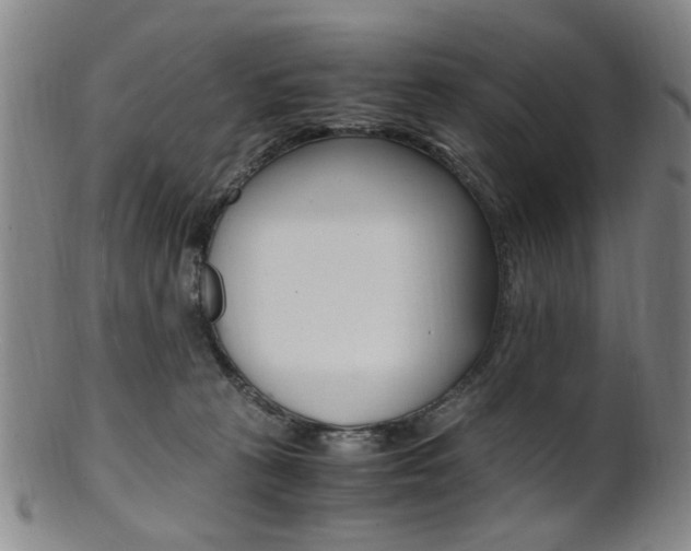 X0000101660273200807101032