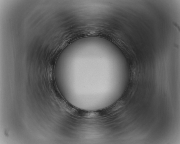 X0000101660274200807101032