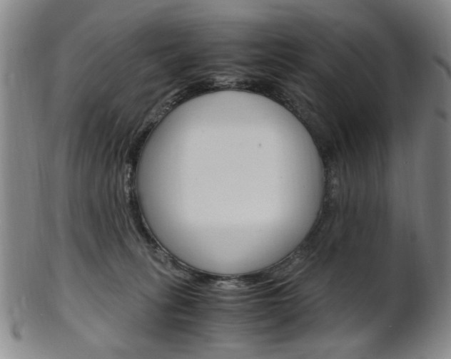 X0000101660275200807101032