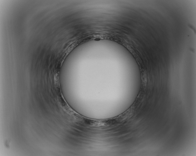 X0000101660276200807101032