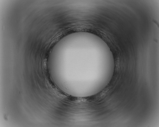 X0000101660278200807101032