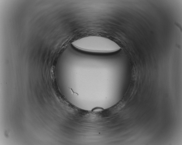 X0000101660280200807101032