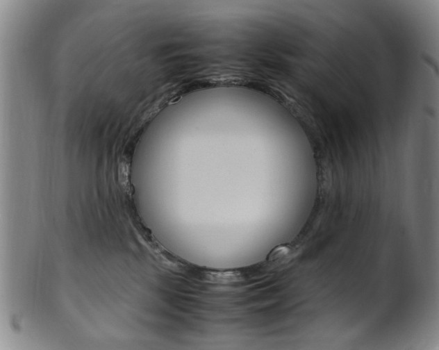 X0000101660281200807101032