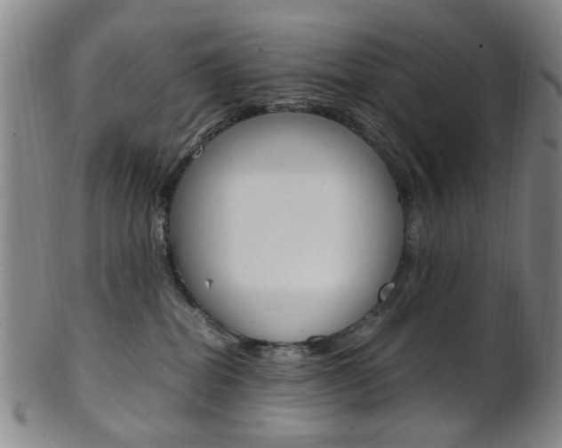 X0000101660282200807101032