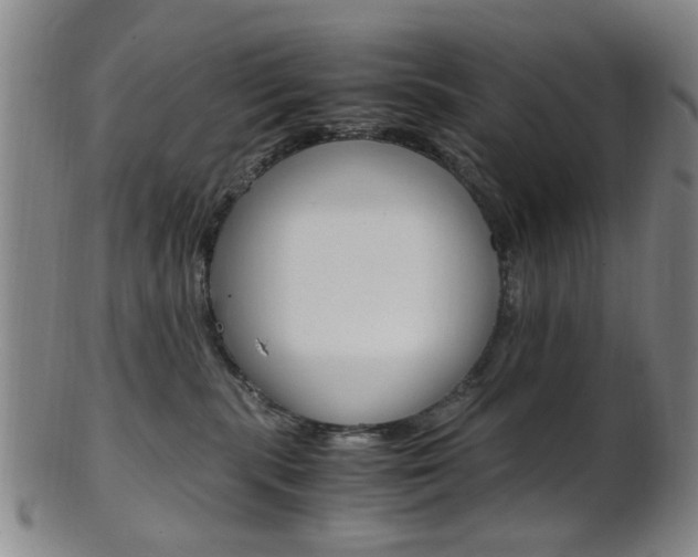 X0000101660283200807101032