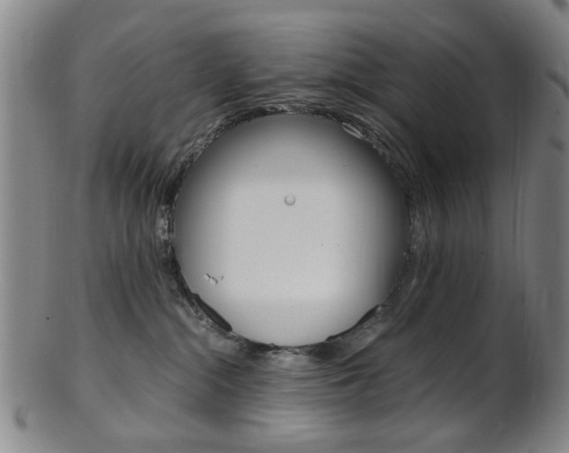 X0000101660284200807101032