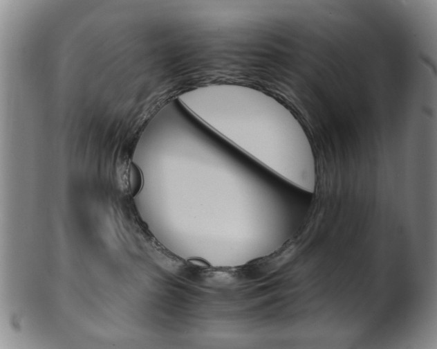 X0000101660285200807101032