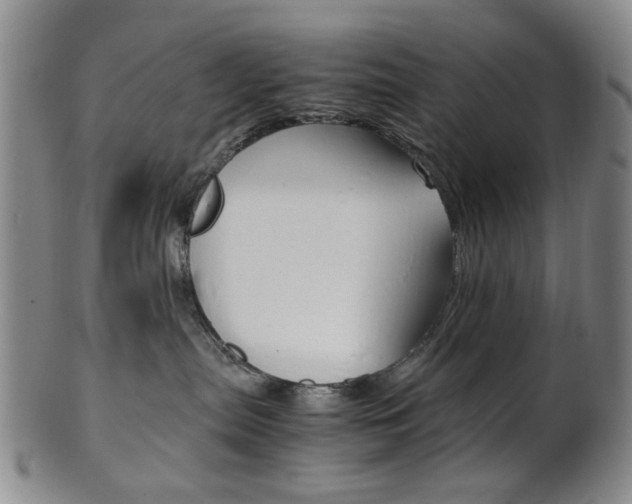 X0000101660287200807101032