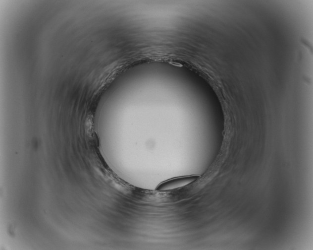 X0000101660288200807101032