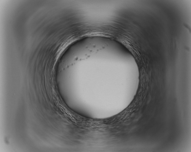 X0000101660289200807101032