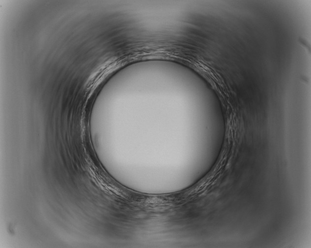 X0000101660290200807101032